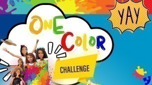 'ONE COLOR CHALLENGE & FASHION SHOW!!  | What Color Will We GET  | Barbie Fashions'