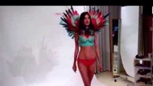 'Victoria\'s Secret: Show Fittings 2013 - Birds of Paradise'