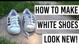 How to clean Adidas Superstars / White Shoes