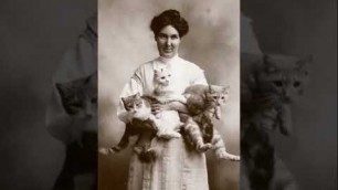 '19th century cat photography 