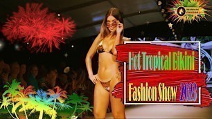 '_ Hot Tropical Bikini Fashion Show - Palm Tree Resort - 2023, TRENDING-POLYGON, TrendingPolygon'