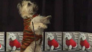 'Dress Your Dog -- The Fashion Show'