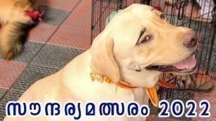 'പട്ടിക്കുട്ടന്മാരുടെ സൗന്ദര്യമത്സരം 2022 : funny dog fashin show : laze media'