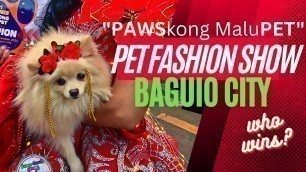 'DOG SHOW (and a cat)! Pet Fashion Show! Baguio City\'s PAWSkong MaluPET. (Dec. 18) Christmas Show.'
