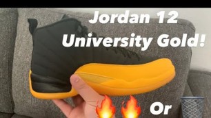 'Jordan 12 University Gold?!?! Sneaker unboxing and Review! Steelers shoes??'