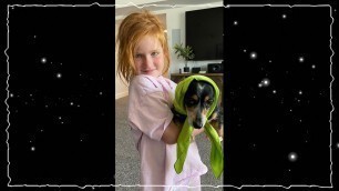 'PUPPY FASHiON SHOW!!!  Adley gives Olive a makeover for her pet dog dance party with Dad! #Shorts'