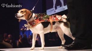 'Dog Fashion Show! Collars & Coats Gala Ball 2012 ft David Gandy | FashionTV'
