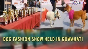 'DOG FASHION SHOW HELD IN GUWAHATI'
