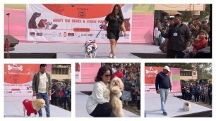 'Dog Fashion Show 2023 | Dog Show Guwahati | Furry Fashion Show 2023 | All Breed Fashion Show |'
