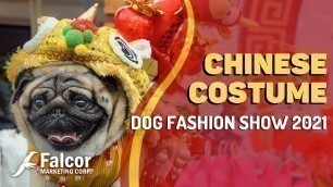 'Chinese Costume Dog Fashion Show Festival 2021 | Falcor Marketing'