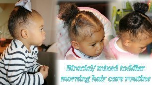 Vlogmas 2017 - Day 6: Biracial/ mixed toddler morning hair care routine