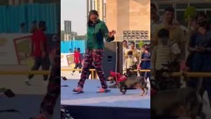 'Dog’s Fashion show at International Petex 2023 Hyderabad.'