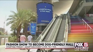'Fashion Show mall on Las Vegas Strip to become dog-friendly'