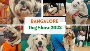 'Pet Fed 2022 | Dog Fashion Show | Pet Festival #pets #petlover #bangalore #dog #doglover'