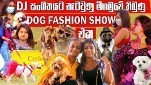 'DJ  සංගීතයට නැටවුණු මීගමුවේ තිබුණු ලොකුම DOG Fashion Show එක | Pet Talk | CKC BV in Negombo'