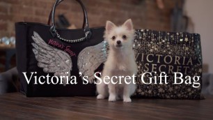 'Willow Hand\'s 2018 Victoria\'s Secret Fashion Show Gift Bag'