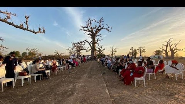 'La Dakar Fashion Week 2020 défile au cœur d’une forêt de baobabs'