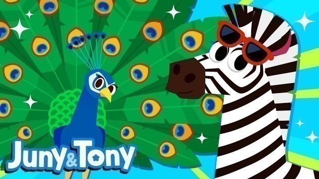 'Animal Fashion Show | Animal Song for Kids | Zebra, Cheetah, Leopard | Juny&Tony by KizCastle'