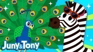 'Animal Fashion Show | Animal Song for Kids | Zebra, Cheetah, Leopard | Juny&Tony by KizCastle'