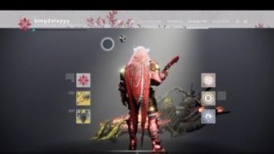 'Destiny 2 |hunter fashion update'