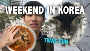 'SAVED A KITTEN, Seoul Fashion Week, good af food | Yonsei Life Vlog #20'