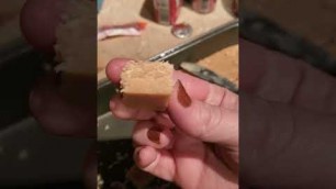 'First attempt fudge results'