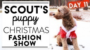 'DAY 11 SCOUT DOGGY CHRISTMAS FASHION SHOW | 12 Days of Christmas Challenges'